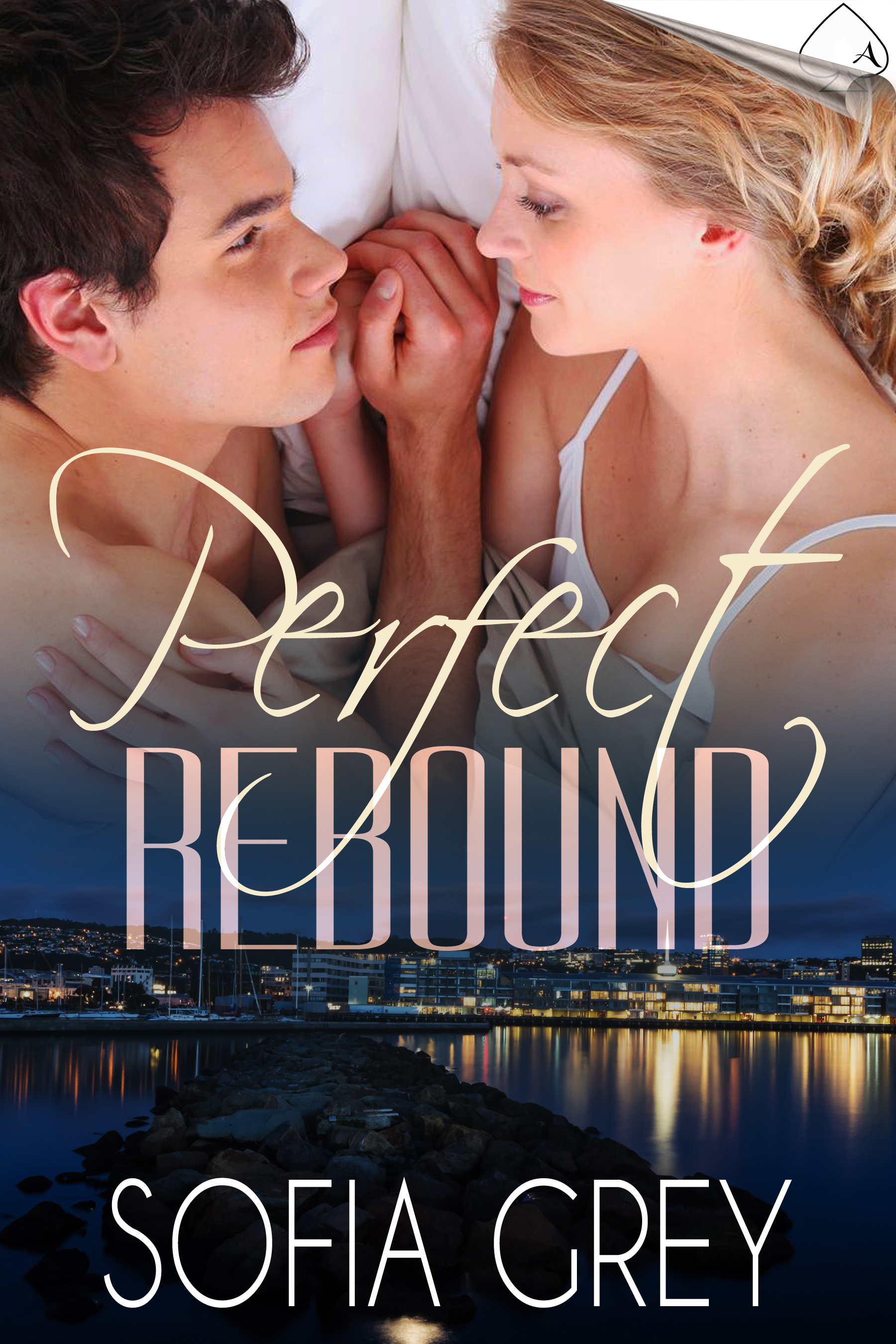 Perfect Rebound book cover