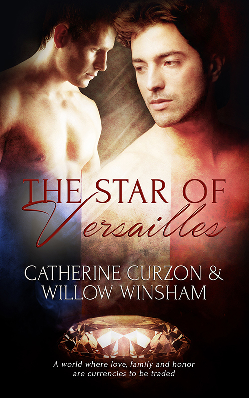 The Star of Versailles book cover