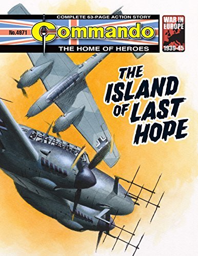Commando #4971 book cover