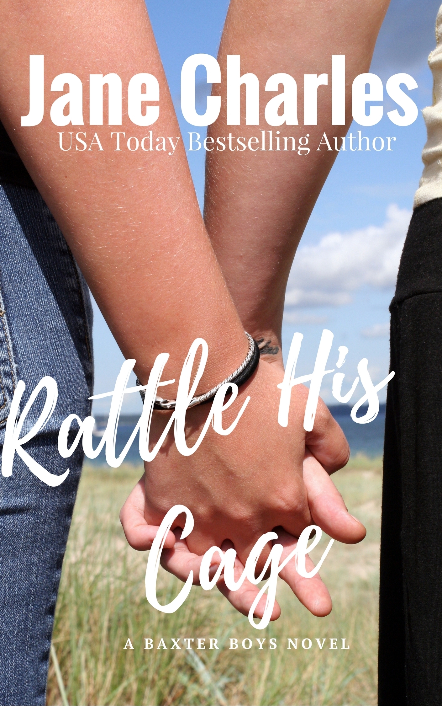 The Baxter Boys book cover 1