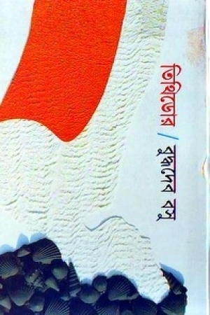 Tithidor book cover