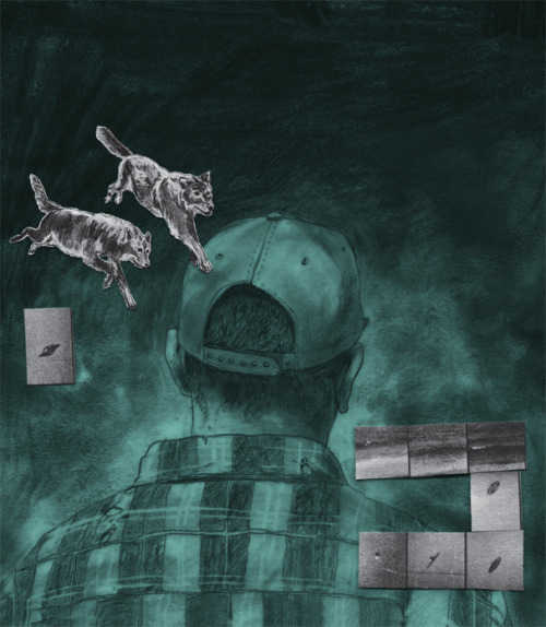 Wolven book cover