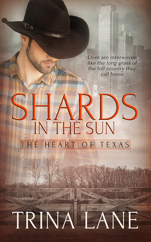 Shards in the Sun book cover