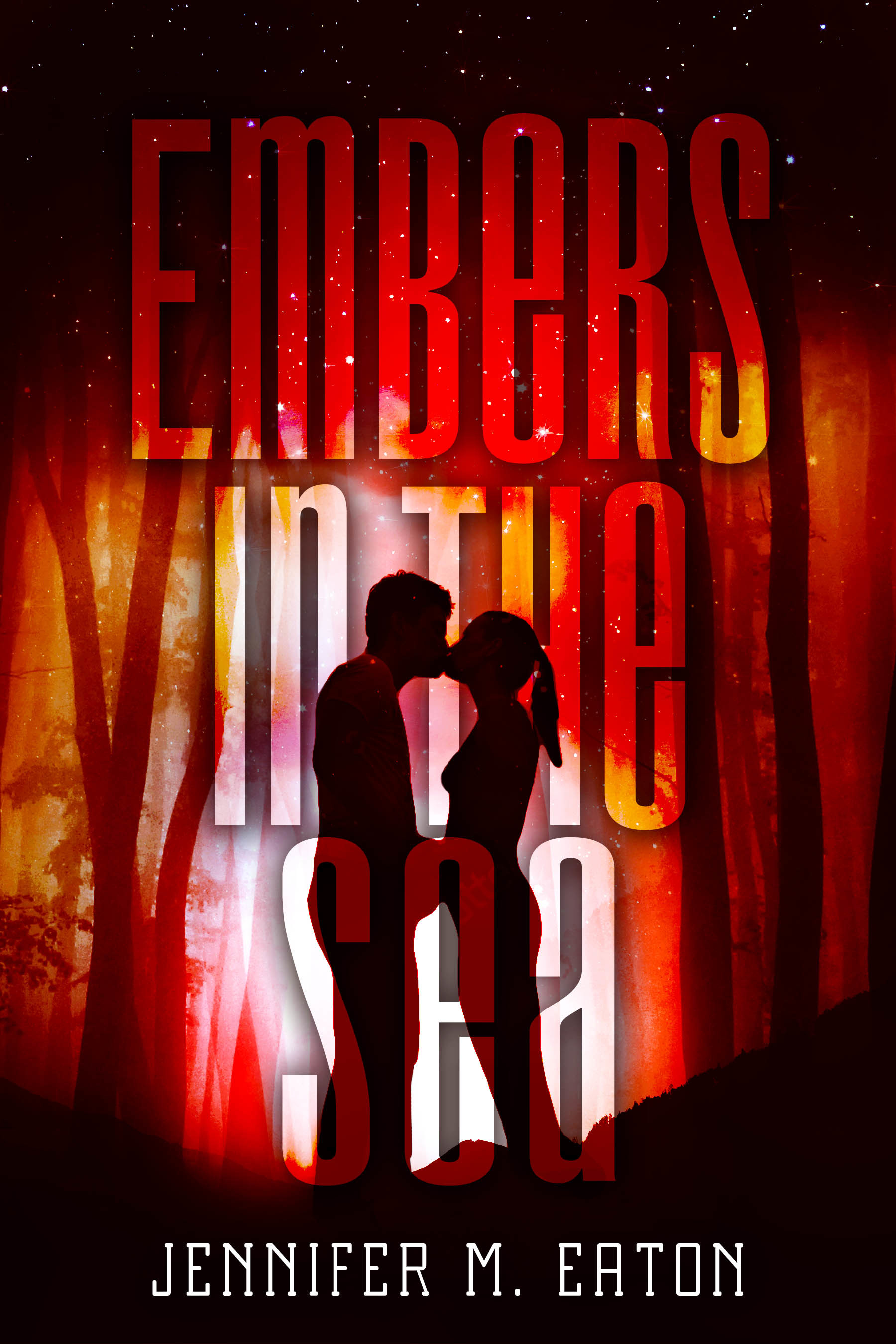 Fire in the Woods book cover 3