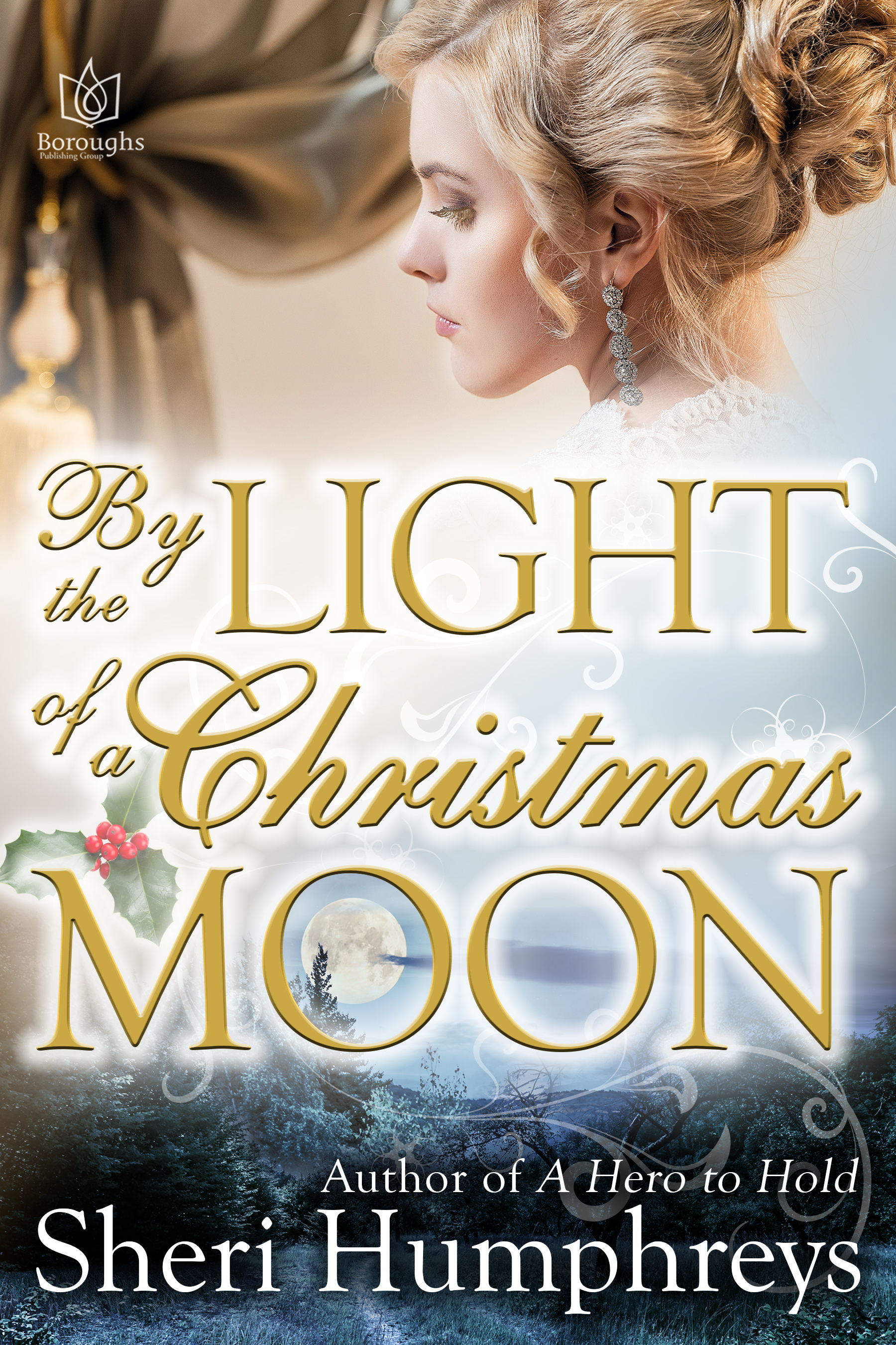 By the Light of a Christmas Moon book cover