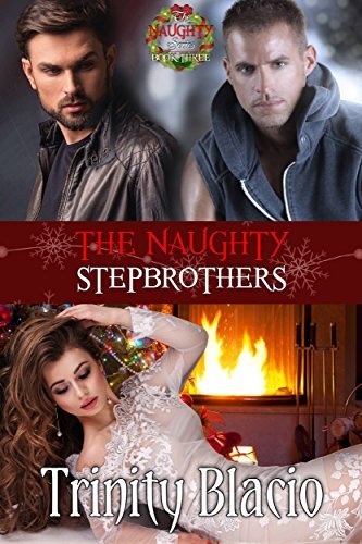 The Naughty Stepbrothers book cover
