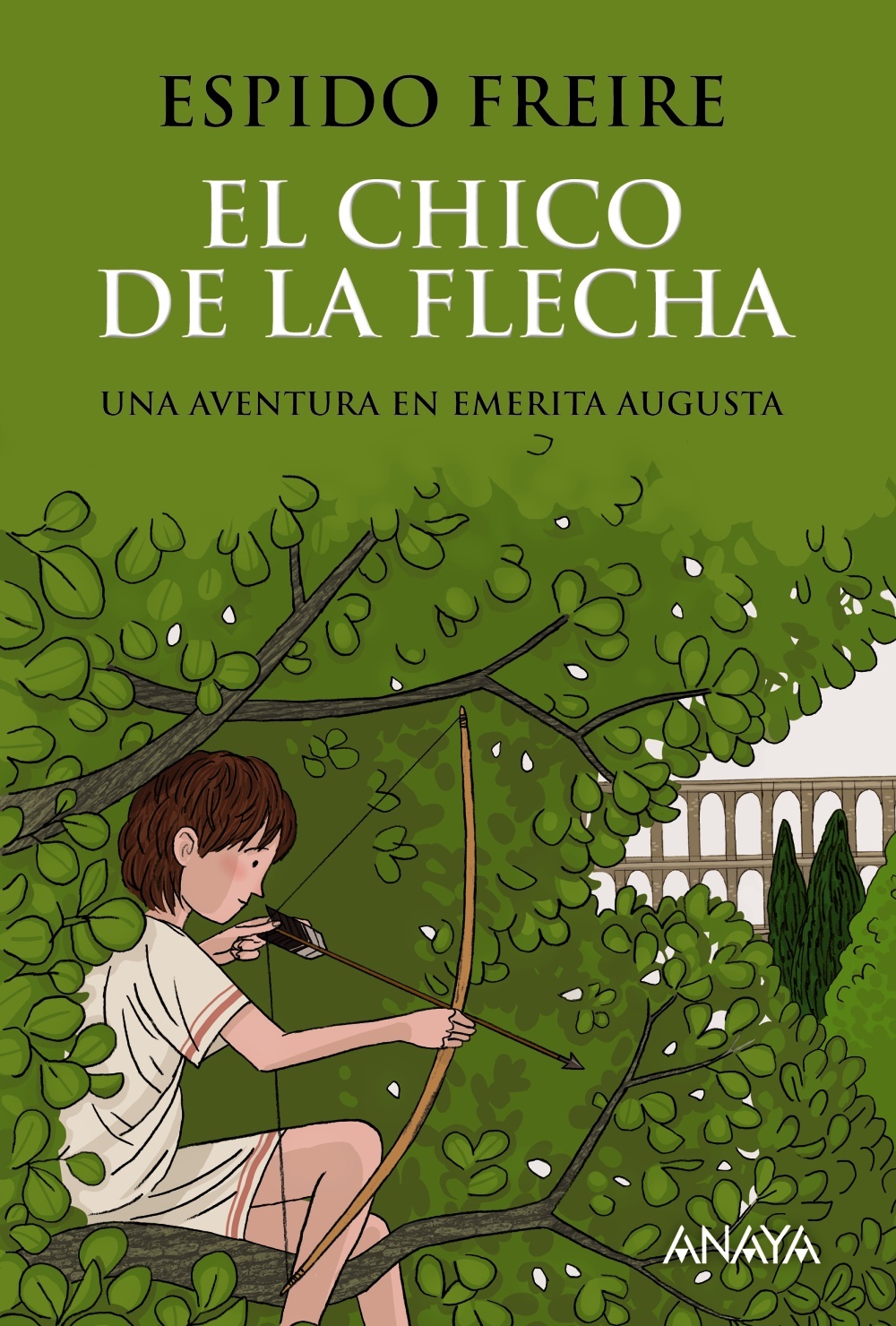 El chico de la flecha book cover