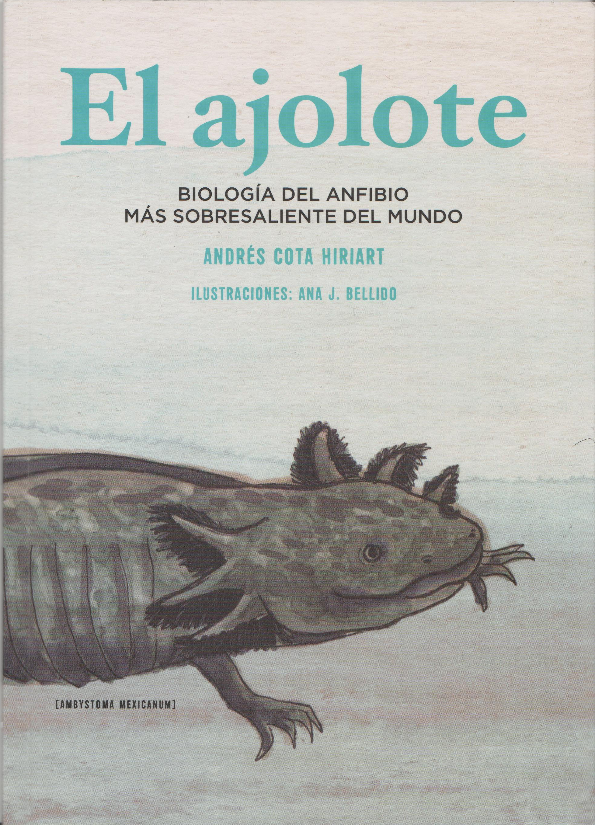 El ajolote book cover