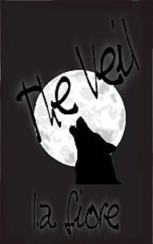 The Veil book cover