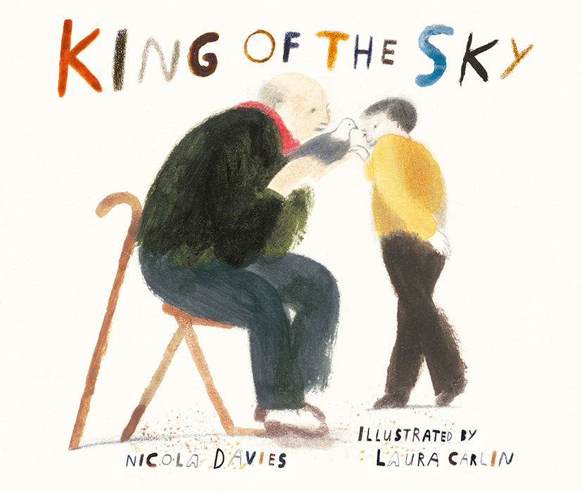 King of the Sky book cover