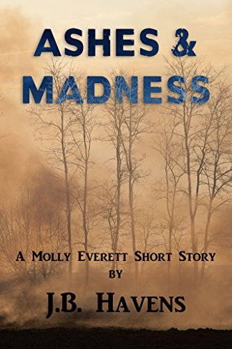 Ashes and Madness book cover