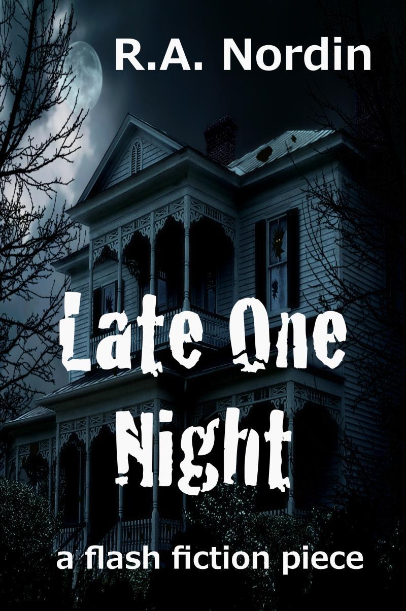 Late One Night book cover