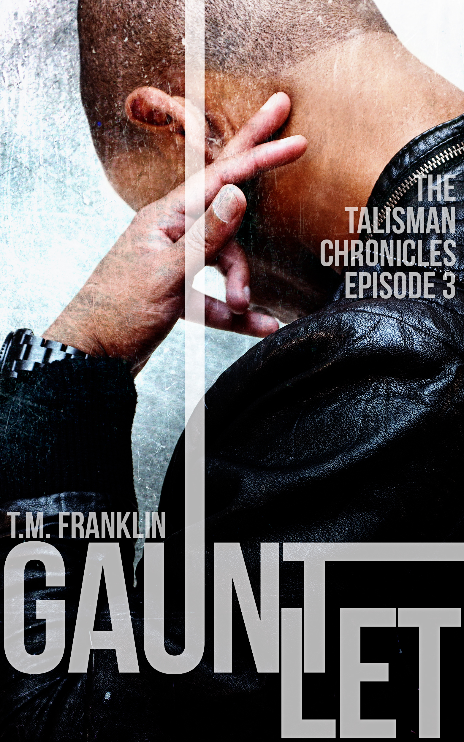 The Talisman Chronicles book cover 3