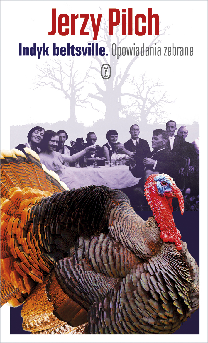 Indyk beltsville by Jerzy Pilch Goodreads