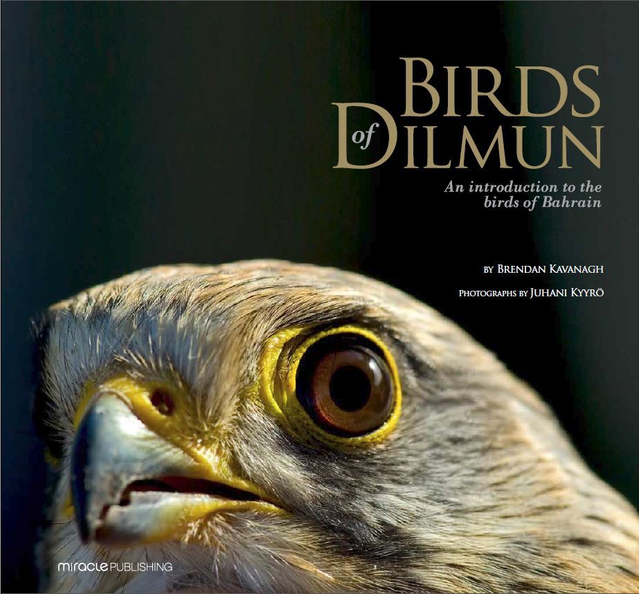 Birds of Dilmun: An Introduction to the Birds of Bahrain by Brendan ...