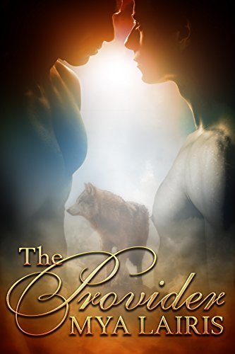 The Provider book cover