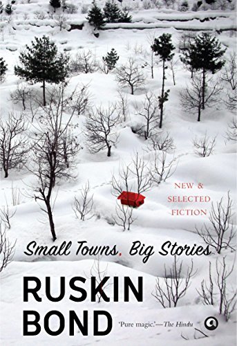 Small Towns, Big Stories book cover