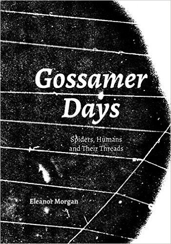 Gossamer Days: Spiders, Humans and Their Threads