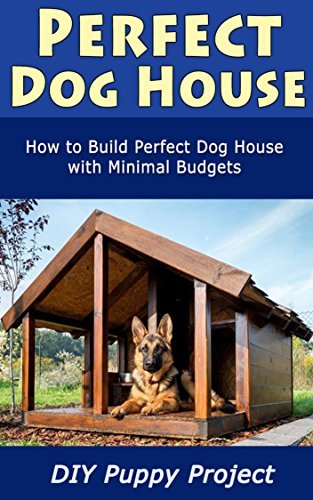 Dog House Blues Pearce Jacqueline 9781551433608 Amazon Com Books