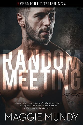 Random Meeting book cover