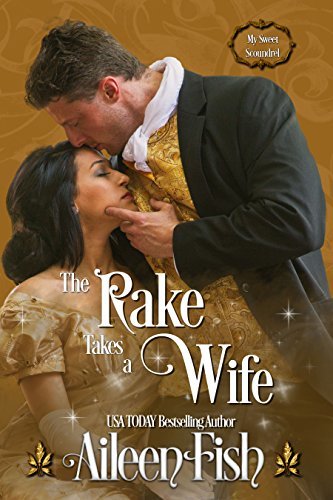 The Rake Takes a Wife book cover