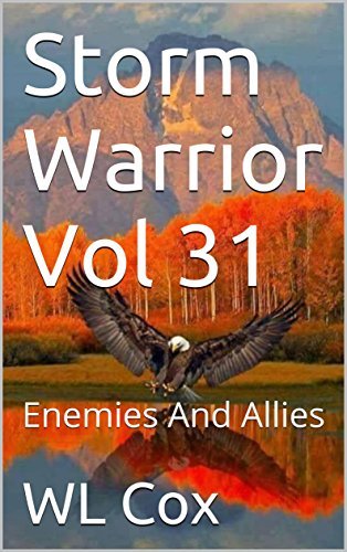 Storm Warrior Vol 31 book cover