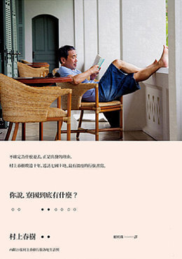 你說,寮國到底有什麼? book cover
