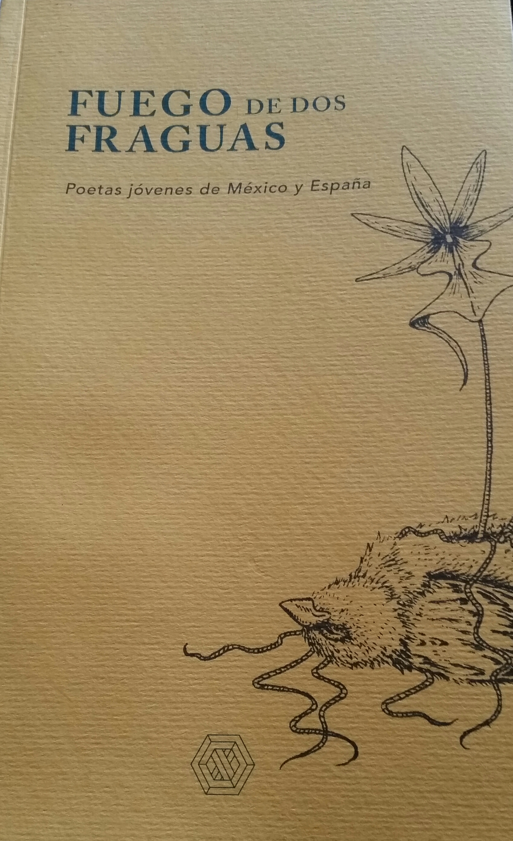 Fuego de dos fraguas book cover