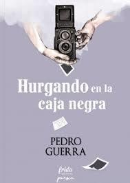 Hurgando en la caja negra book cover