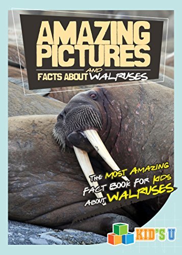 Amazing Pictures and Facts About Walruses: The Most Amazing Fact Book