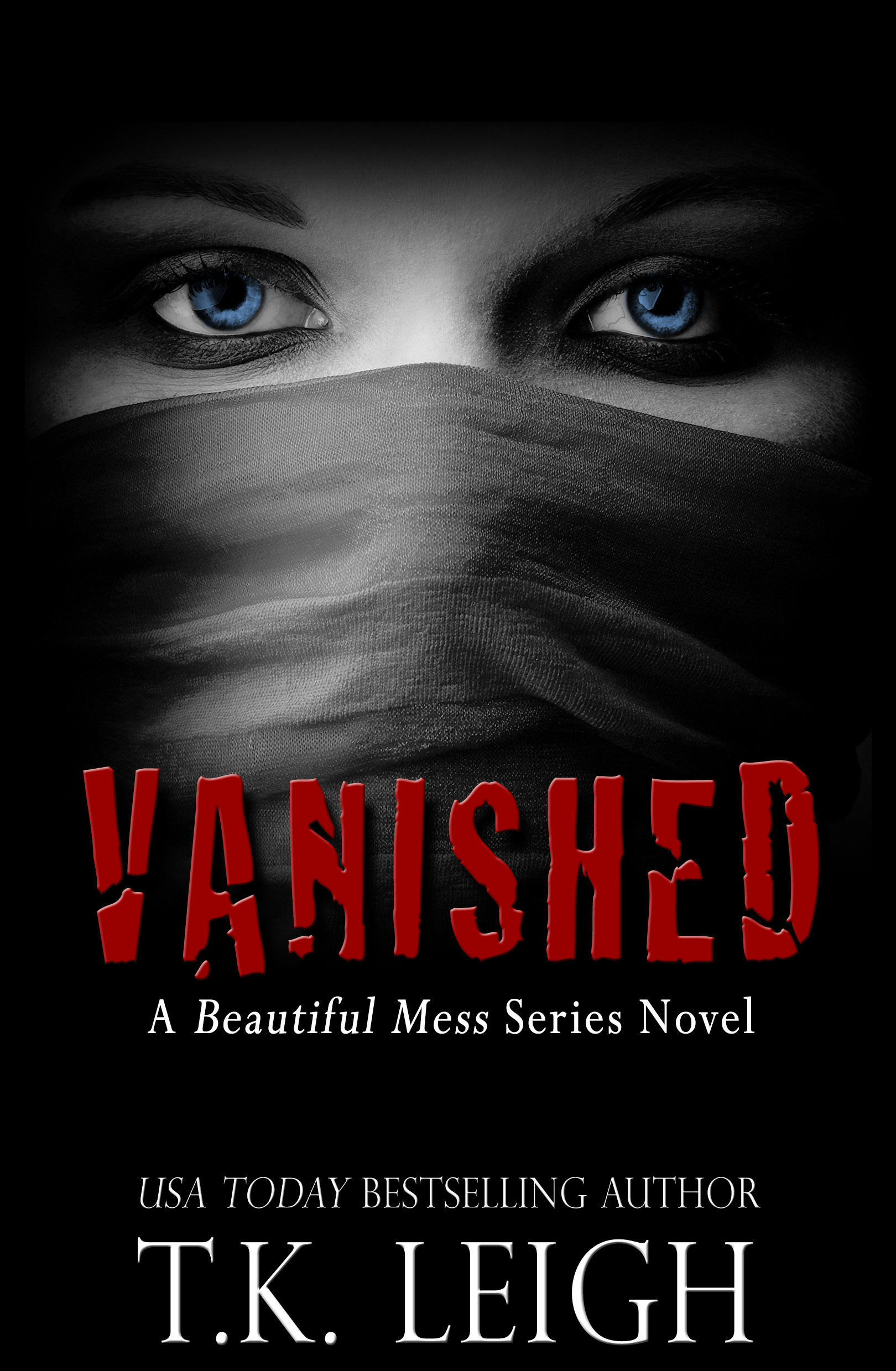 Vanished cover
