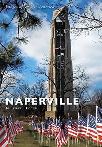 Naperville book cover