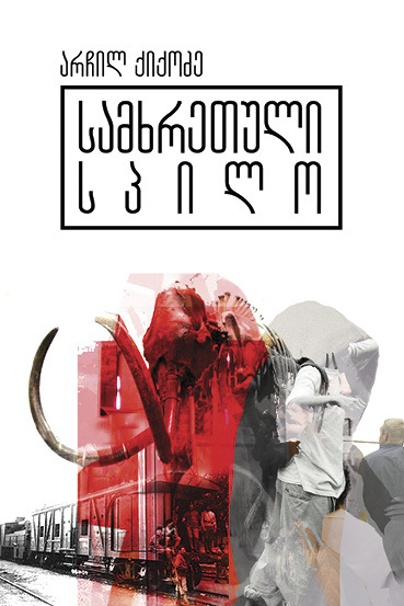 სამხრეთული სპილო book cover