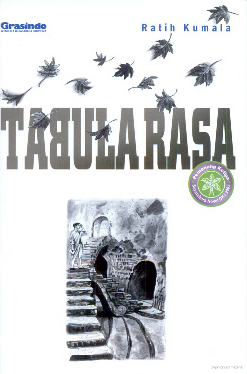 Tabula Rasa book cover