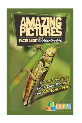 Grasshoppers Amazing Facts Photos You Need To See - zw36qhq