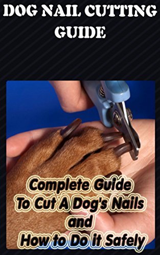 Dog Nail Cutting Guide: Complete Guide To Cut A Dog's Nails and How to ...