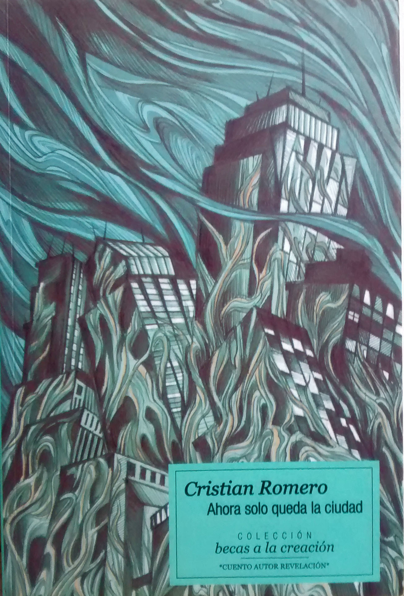 Ahora solo queda la ciudad book cover
