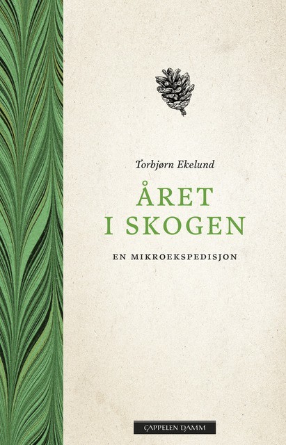 Året i skogen : En mikroekspedisjon
