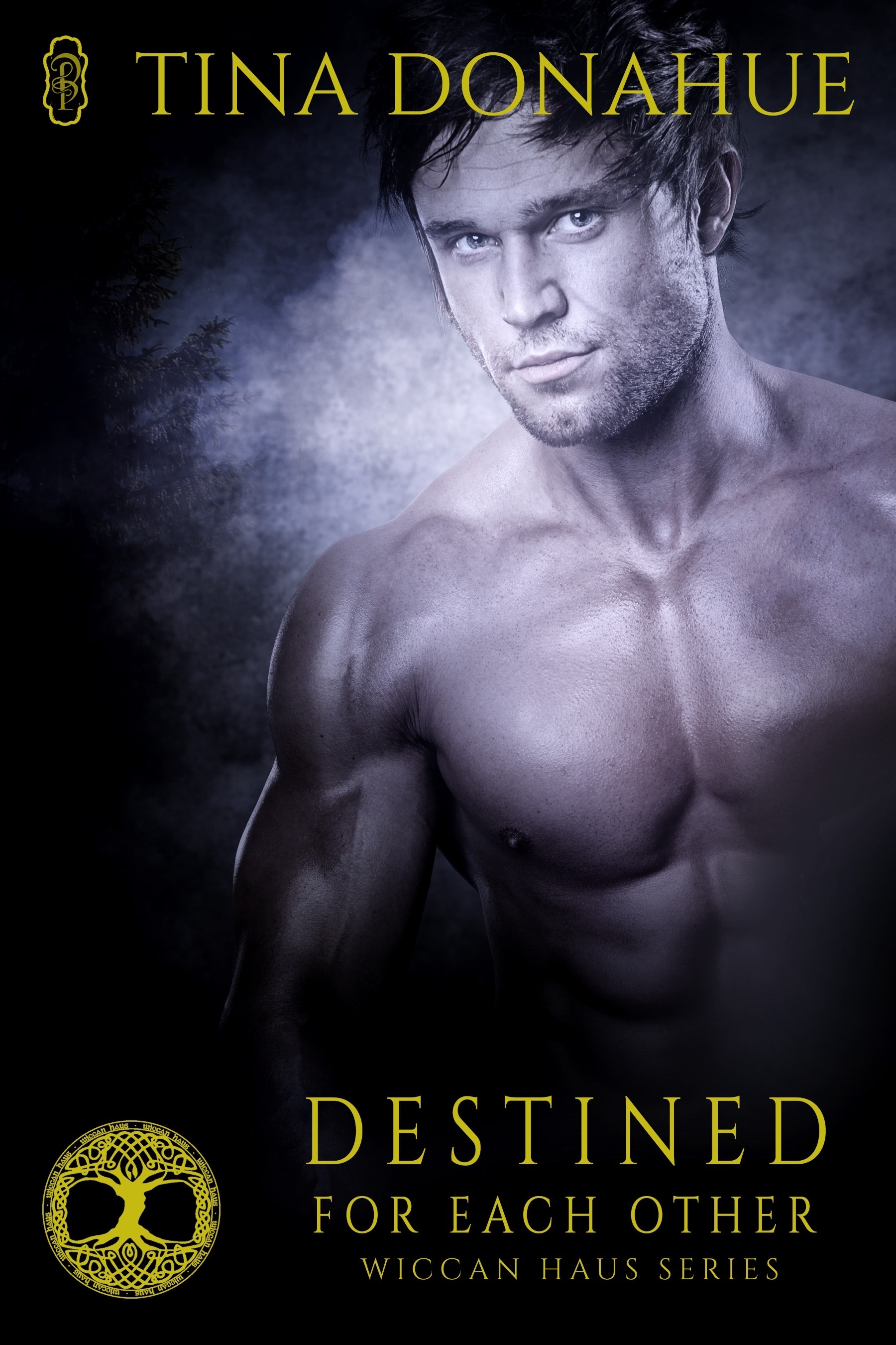 Destined for Each Other book cover