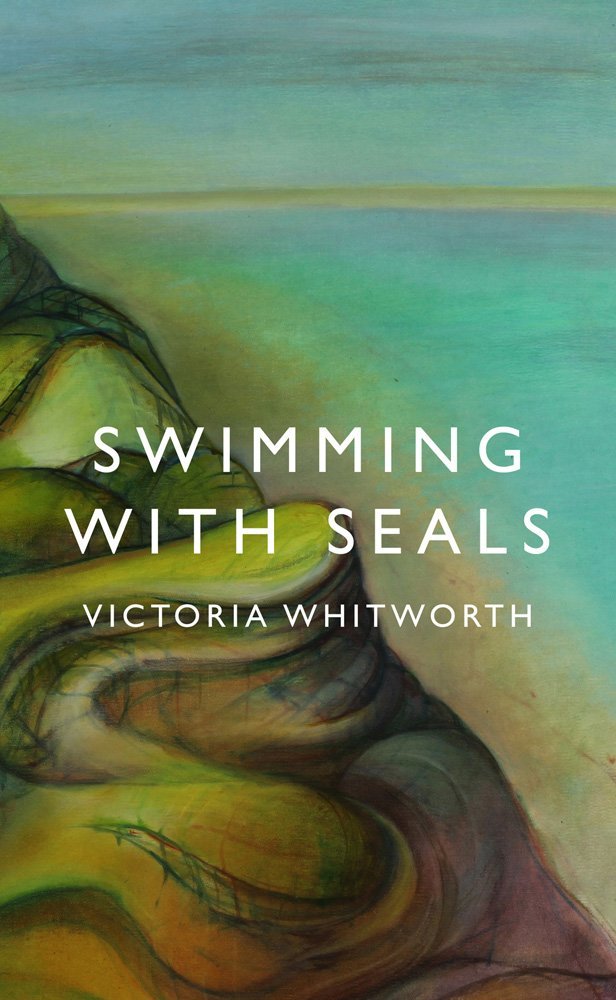 Swimming with Seals