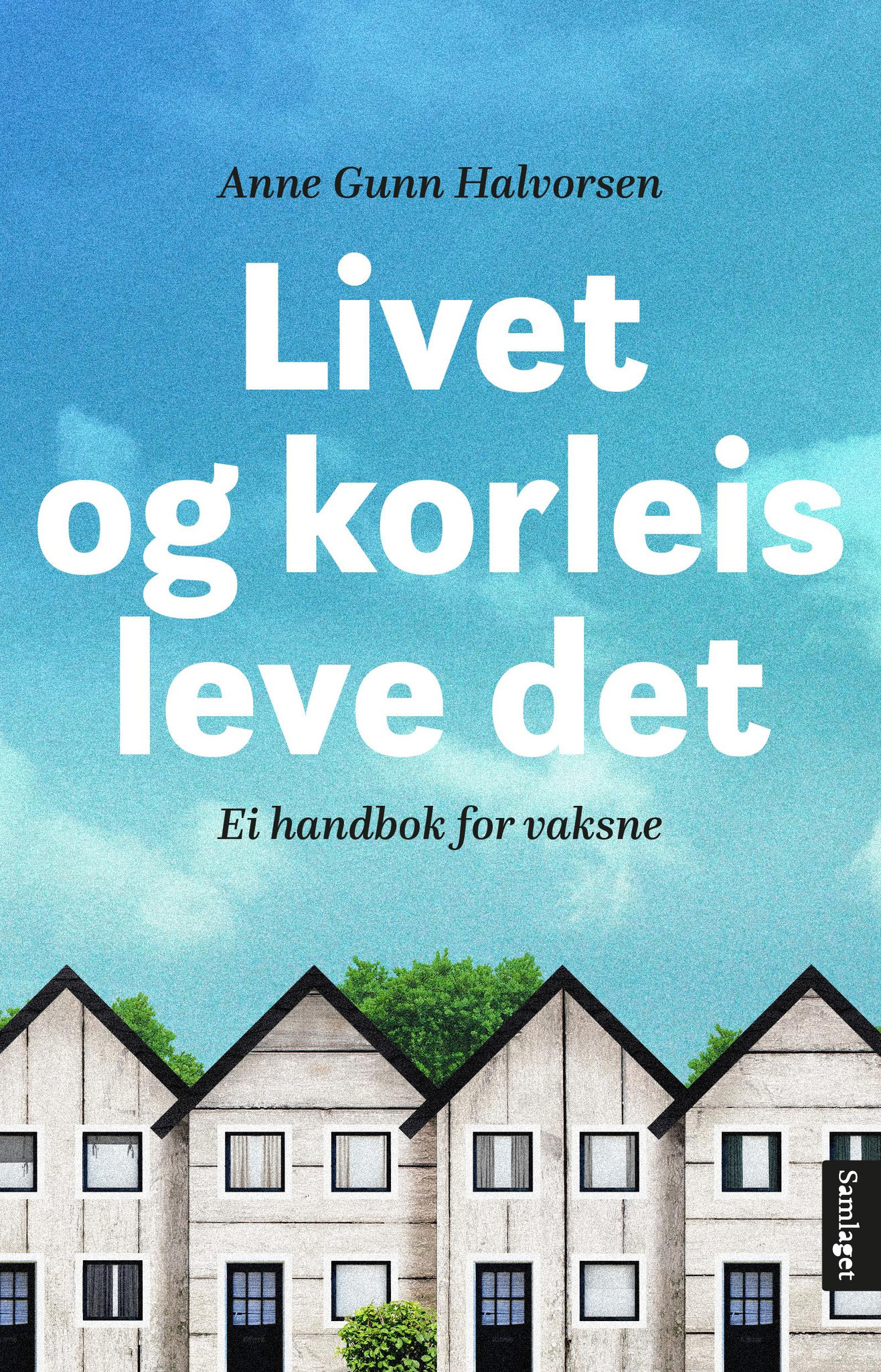 Livet og korleis leve det book cover