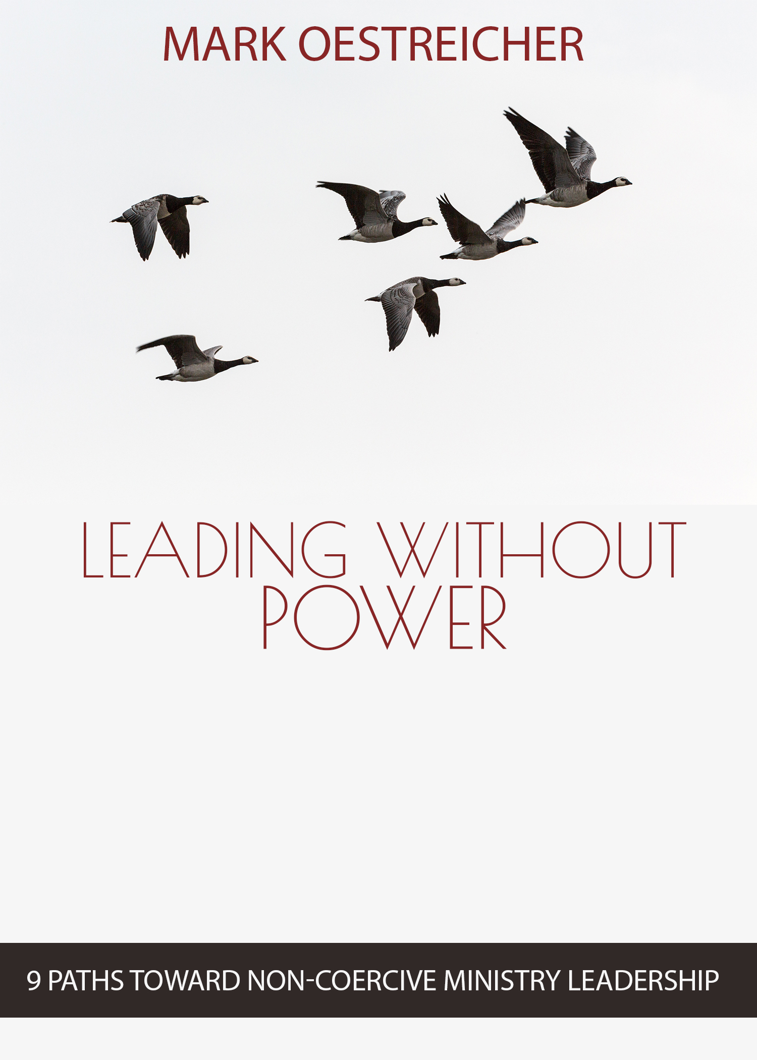 Leading Without Power book cover