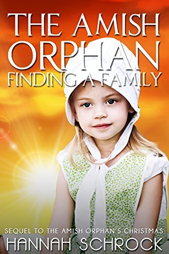 The Amish Orphan - Finding a Family book cover