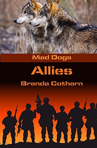 Allies book cover