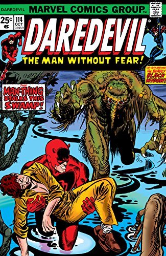 Daredevil (1964-1998) #114 book cover