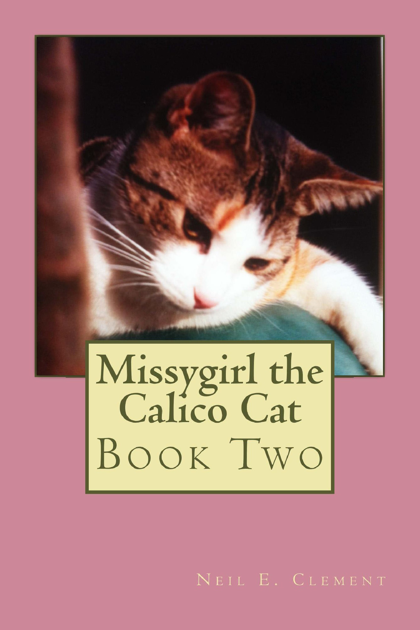 Missygirl the Calico Cat Book Two by Neil E. Clement Goodreads