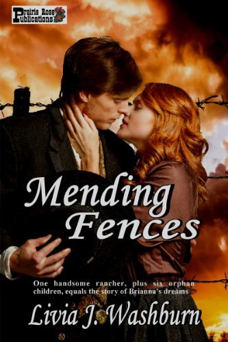 Mending Fences book cover