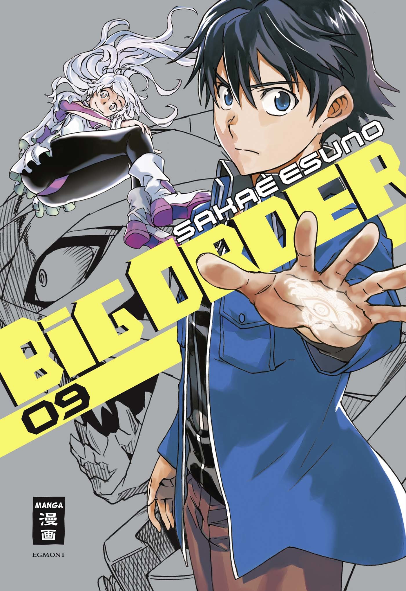 Big Order 9 book cover