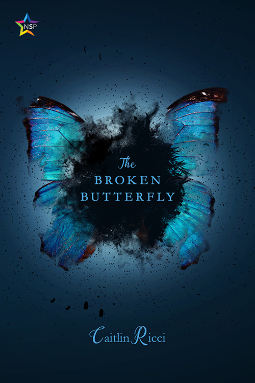 The Broken Butterfly book cover