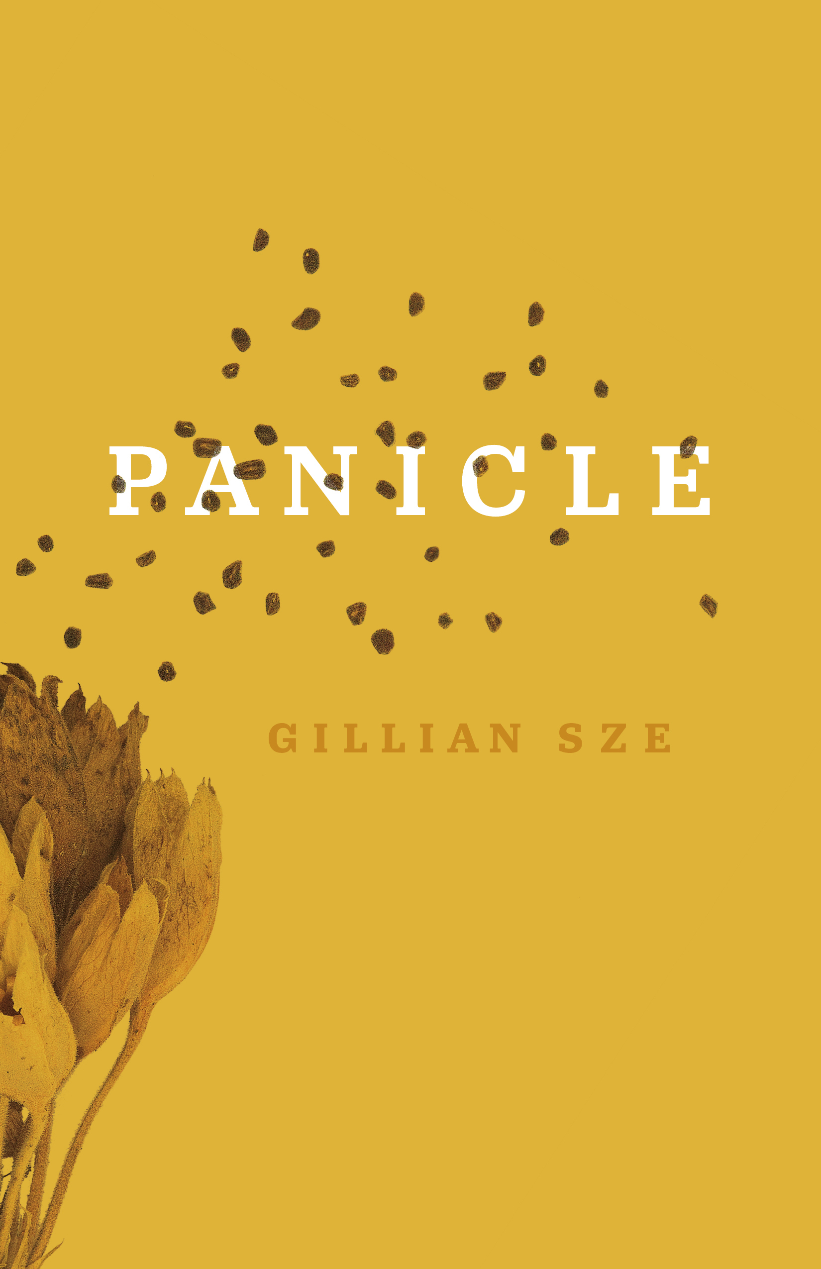 Panicle book cover